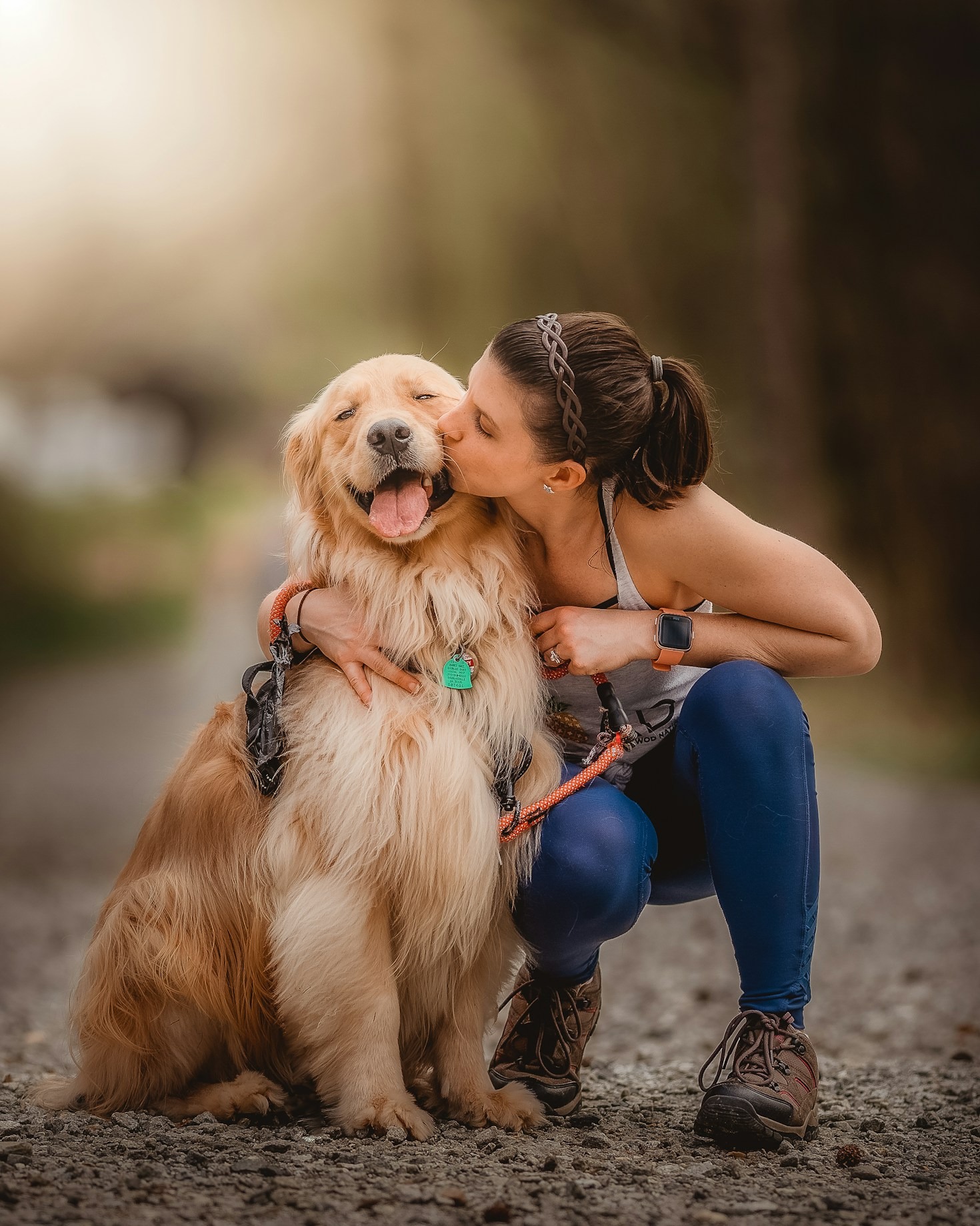 Préparer le premier séjour de votre animal